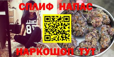 ПСИЛОЦИБИНОВЫЕ ГРИБЫ Тверь