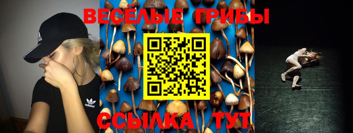 Галлюциногенные грибы GOLDEN TEACHER  Вход с VPN  Галлюциногенные грибы Cubensis  Елец 