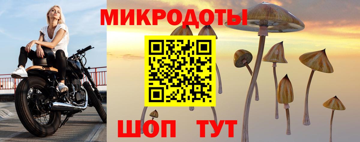 Галлюциногенные грибы мицелий Елец