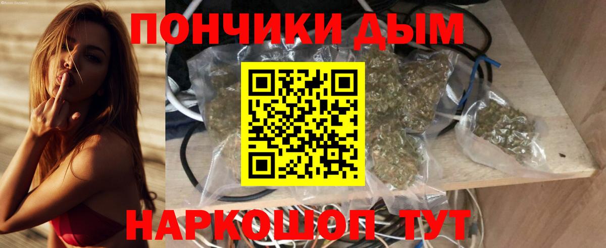 Бошки Шишки семена Елец